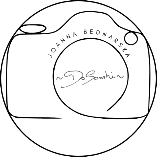 ~DoSomhin~ — logo